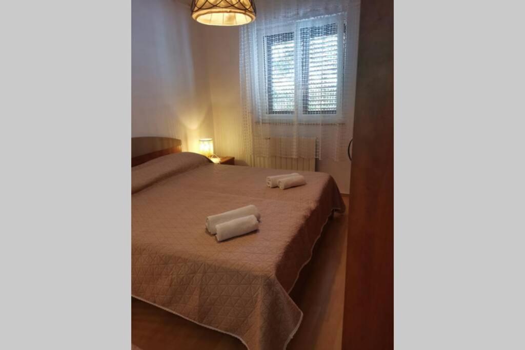 Nice And Cosy In Apartment *